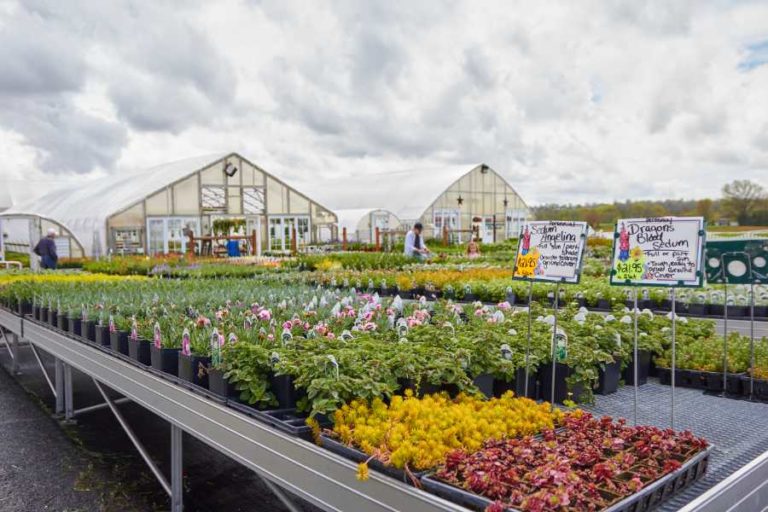 The Greenhouse Hoovers Farm Market & Greenhouse